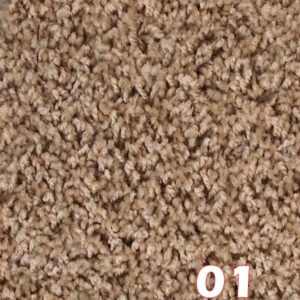 SP125 1 Carpet Swatch