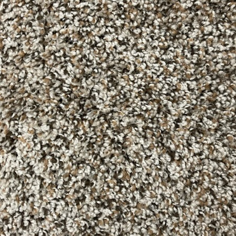 SP125 2 Carpet Swatch