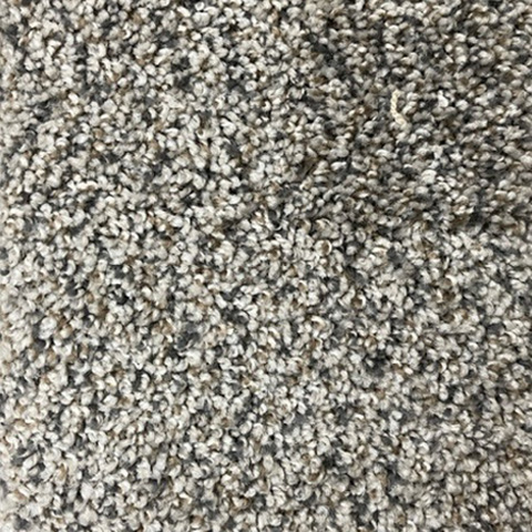 SP125 6 Carpet Swatch