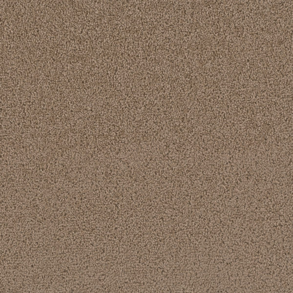 Barnaby Sable Carpet Swatch