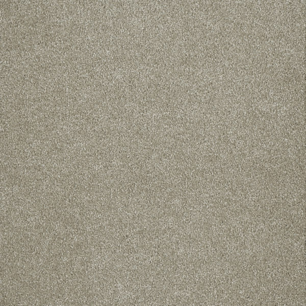 SP260 Cottonwood Carpet Swatch