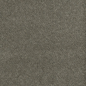 SP260 Brentwood Carpet Swatch