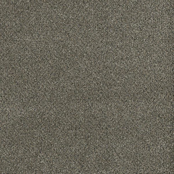 SP260 Brentwood Carpet Swatch