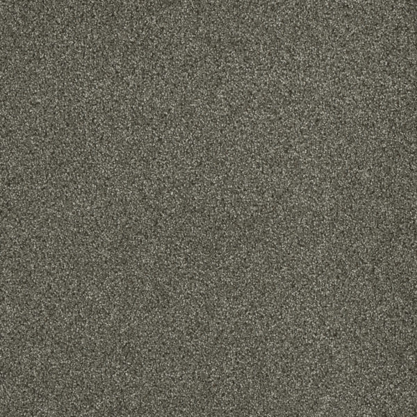 SP260 Baltci Birch Carpet Swatch