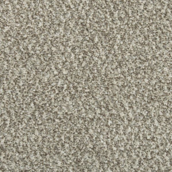 Enjoy Today Soft Feather Carpet Swatch