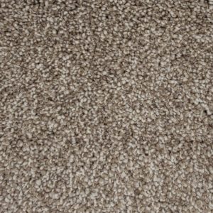 Pine Ridge Oatmeal Carpet Swatch