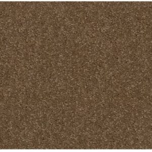 Victorious II Woodland Carpet Swatch
