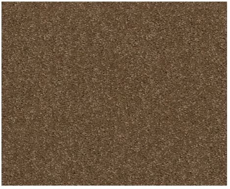 Victorious II Woodland Carpet Swatch